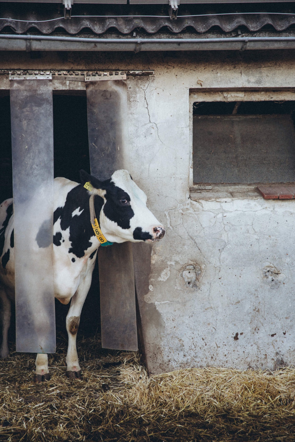 Agrargenossenschaft Hohennauen eG_0010