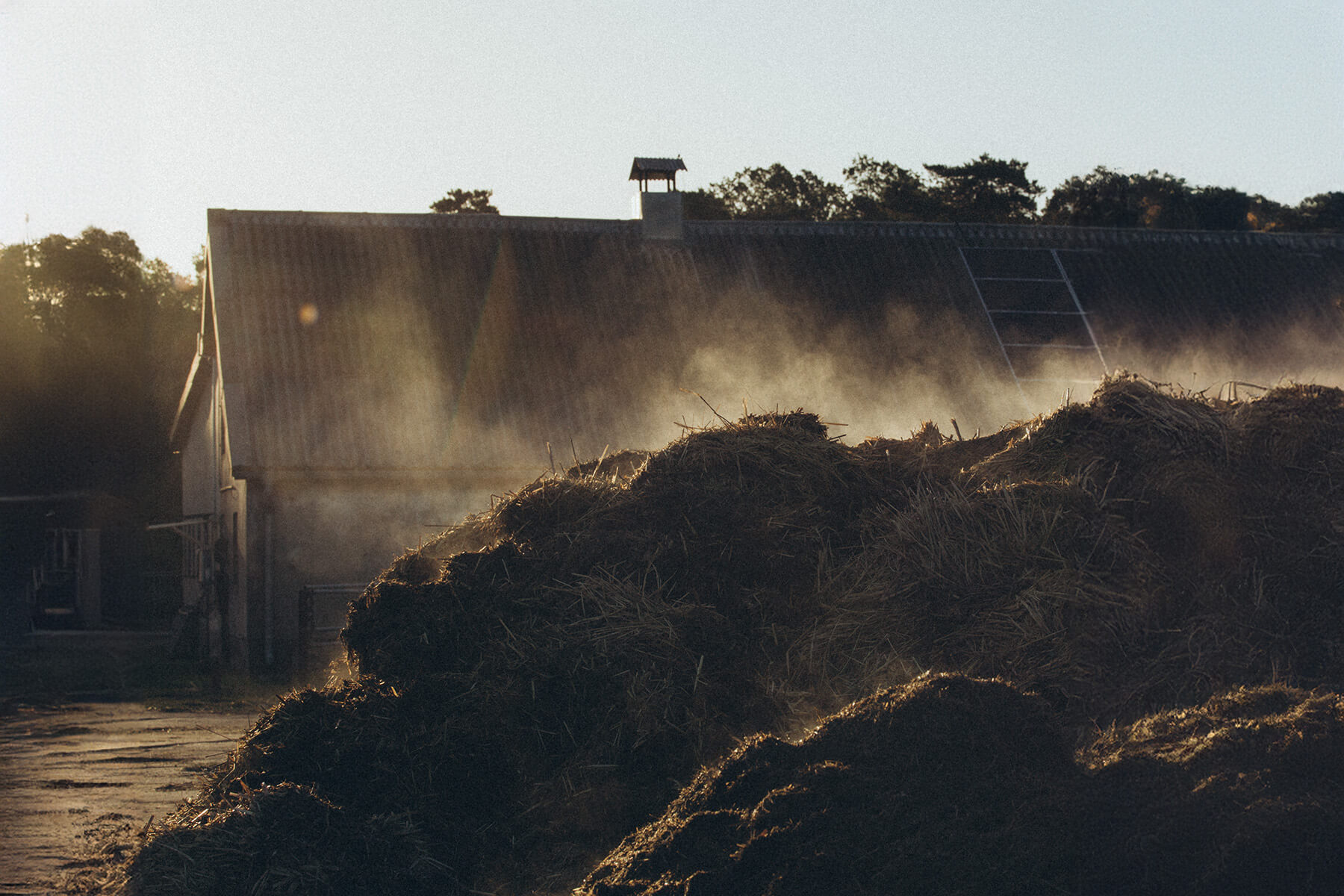 Agrargenossenschaft Hohennauen eG_0233