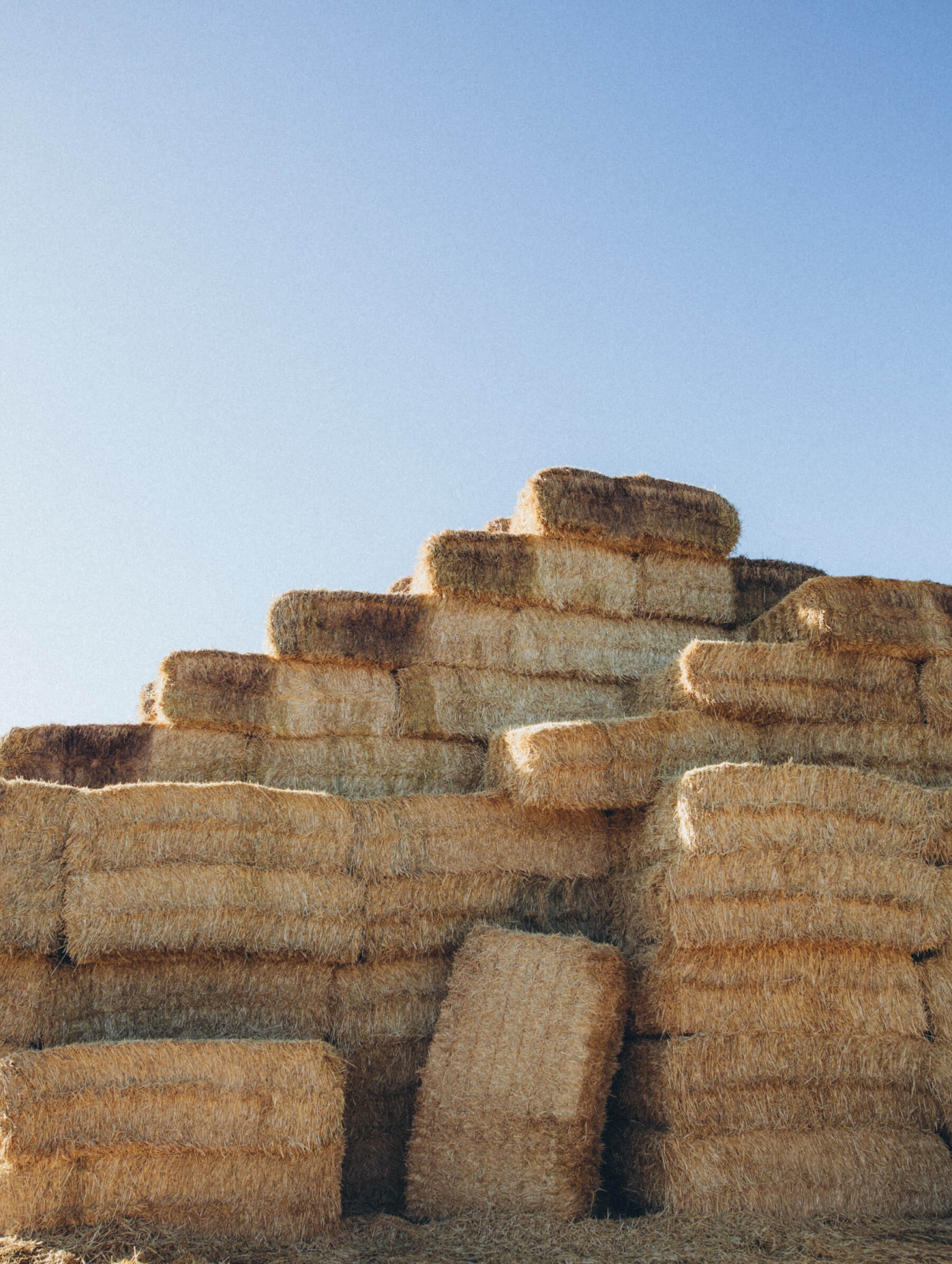 Agrargenossenschaft Hohennauen eG_0920