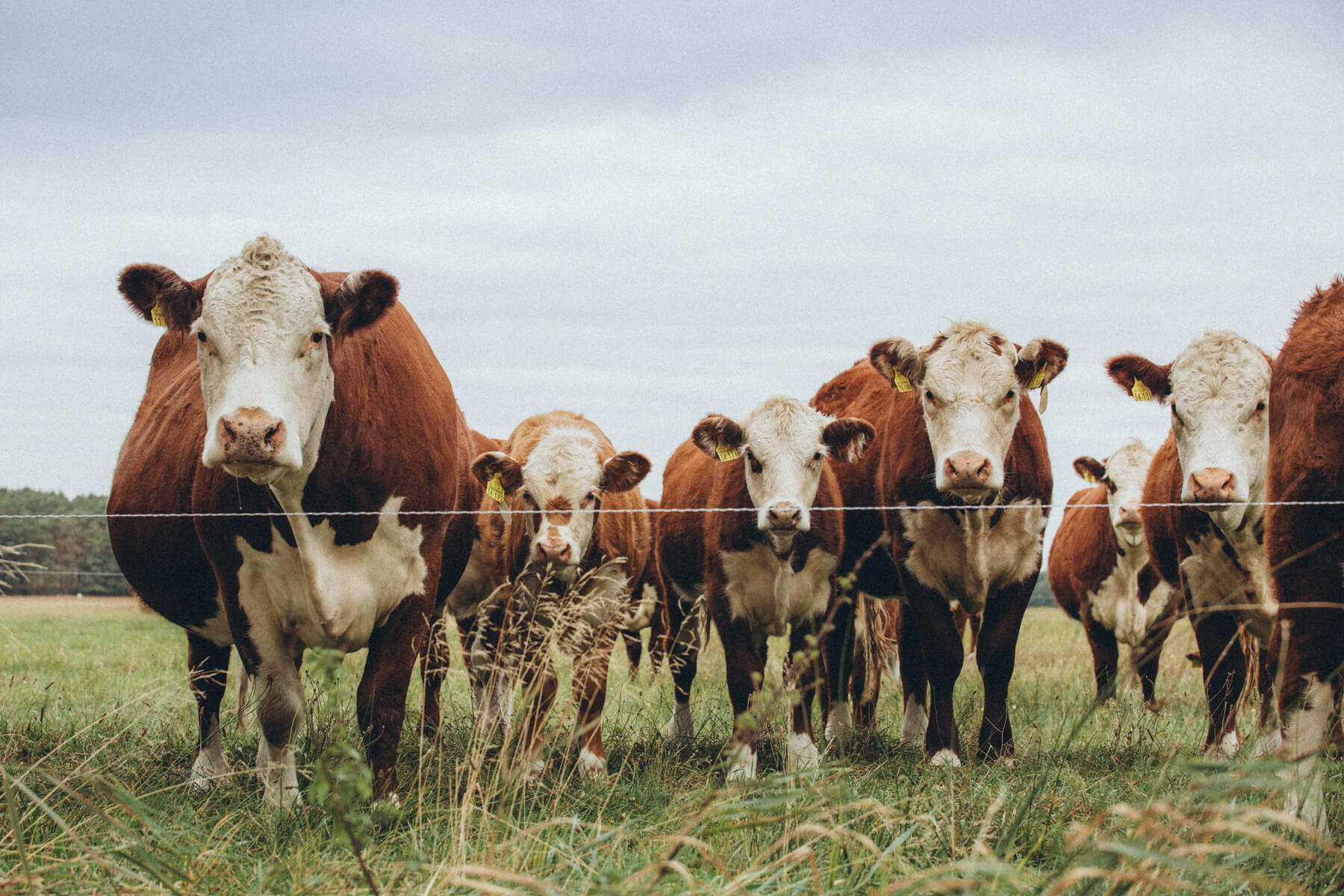 Agrargenossenschaft Münchehofe eG_0474