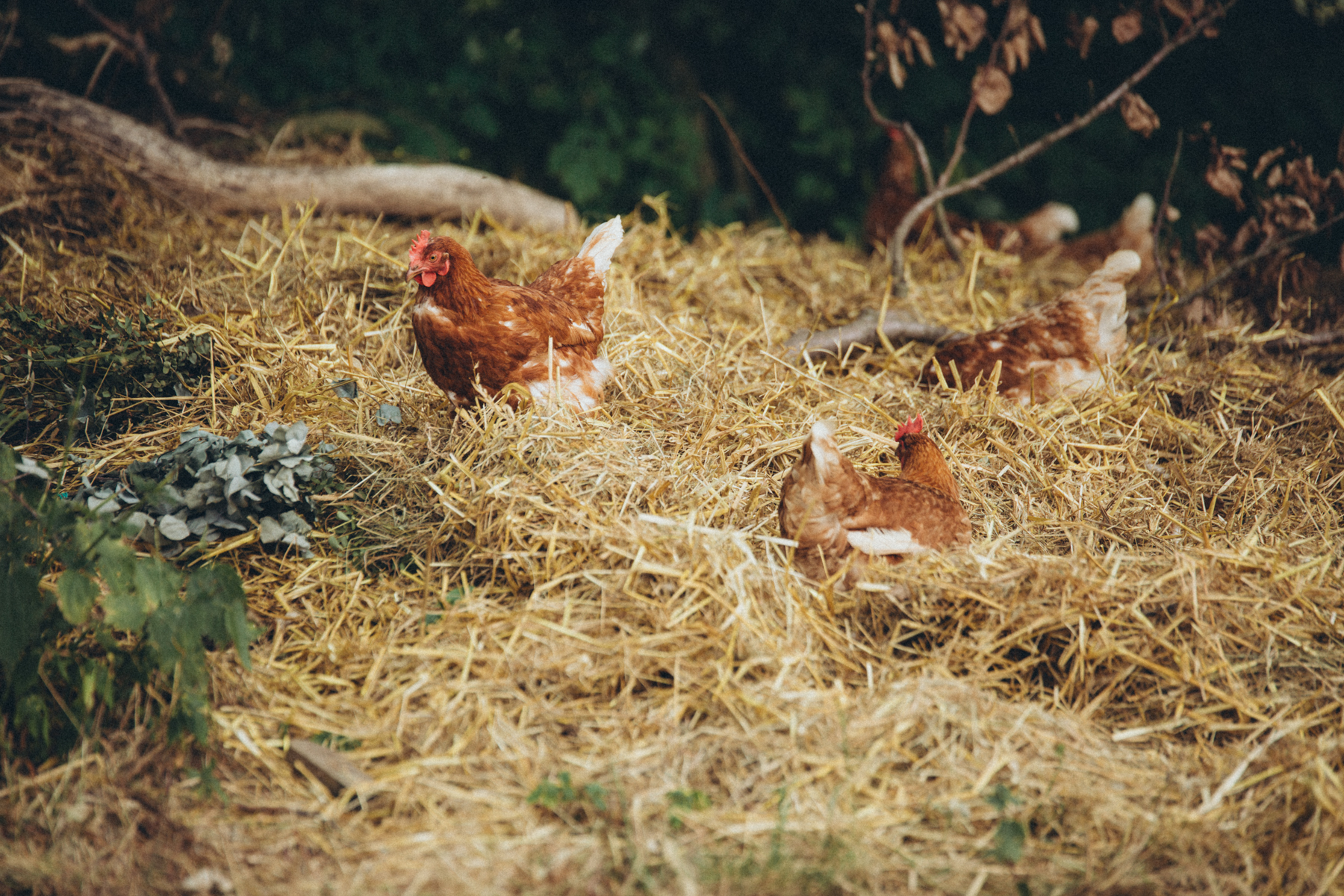 Fabian und Jenny-1092