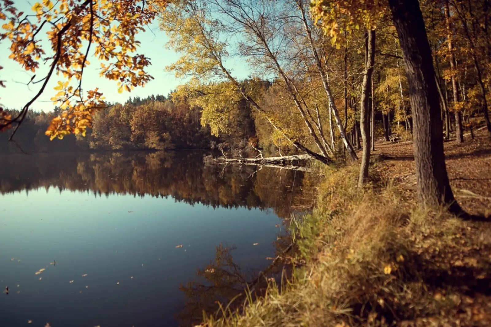 Lienewitzsee-125-1050x700