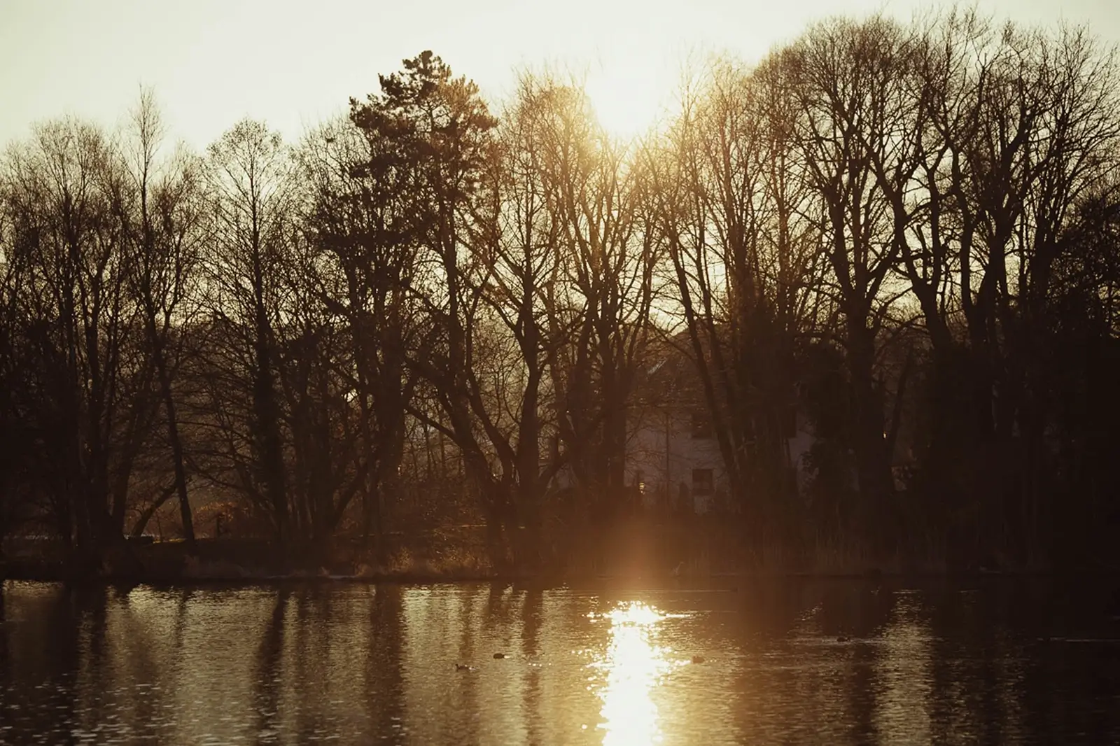 Potsdam-27012017-2437