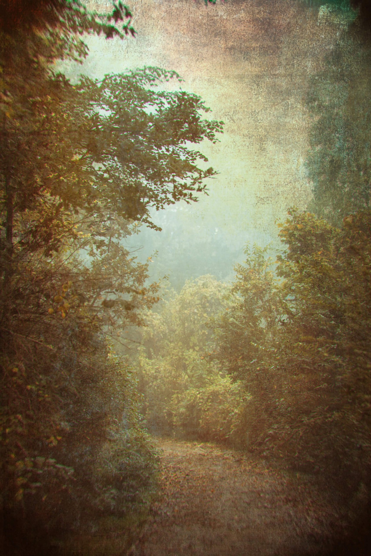 Sanssouci bei Nebel-004-Bearbeitet