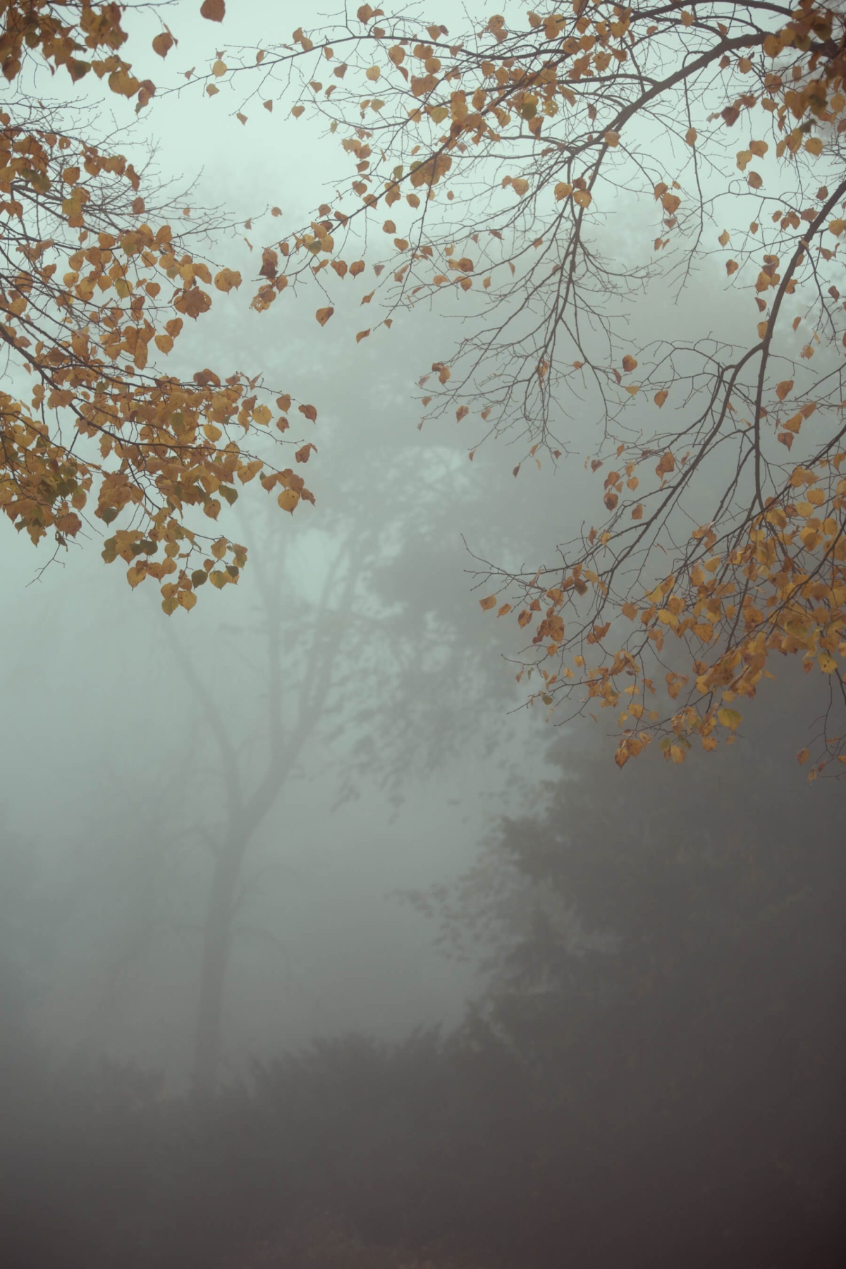 Sanssouci bei Nebel-018-Bearbeitet