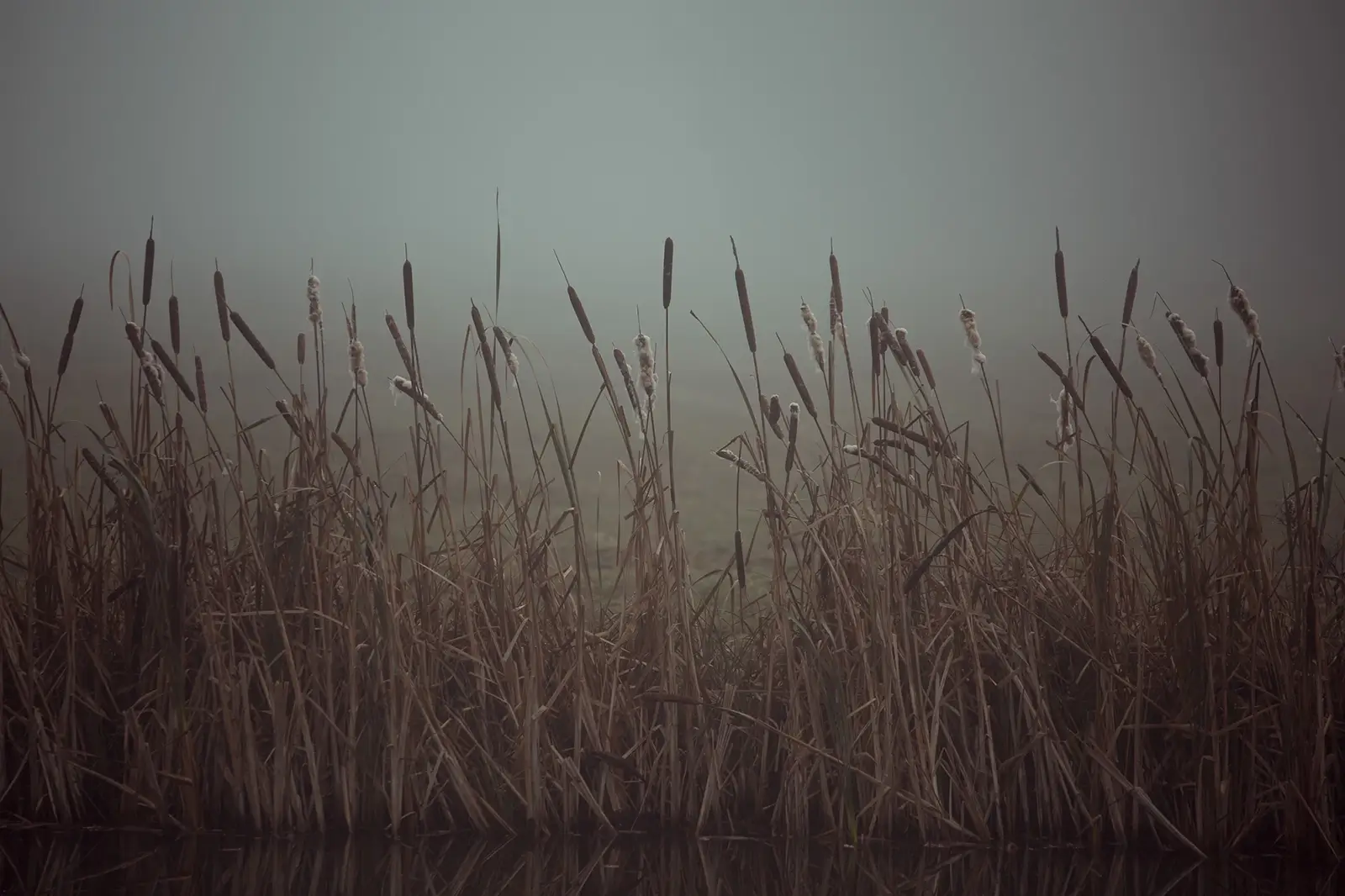 Sanssouci-bei-Nebel-059