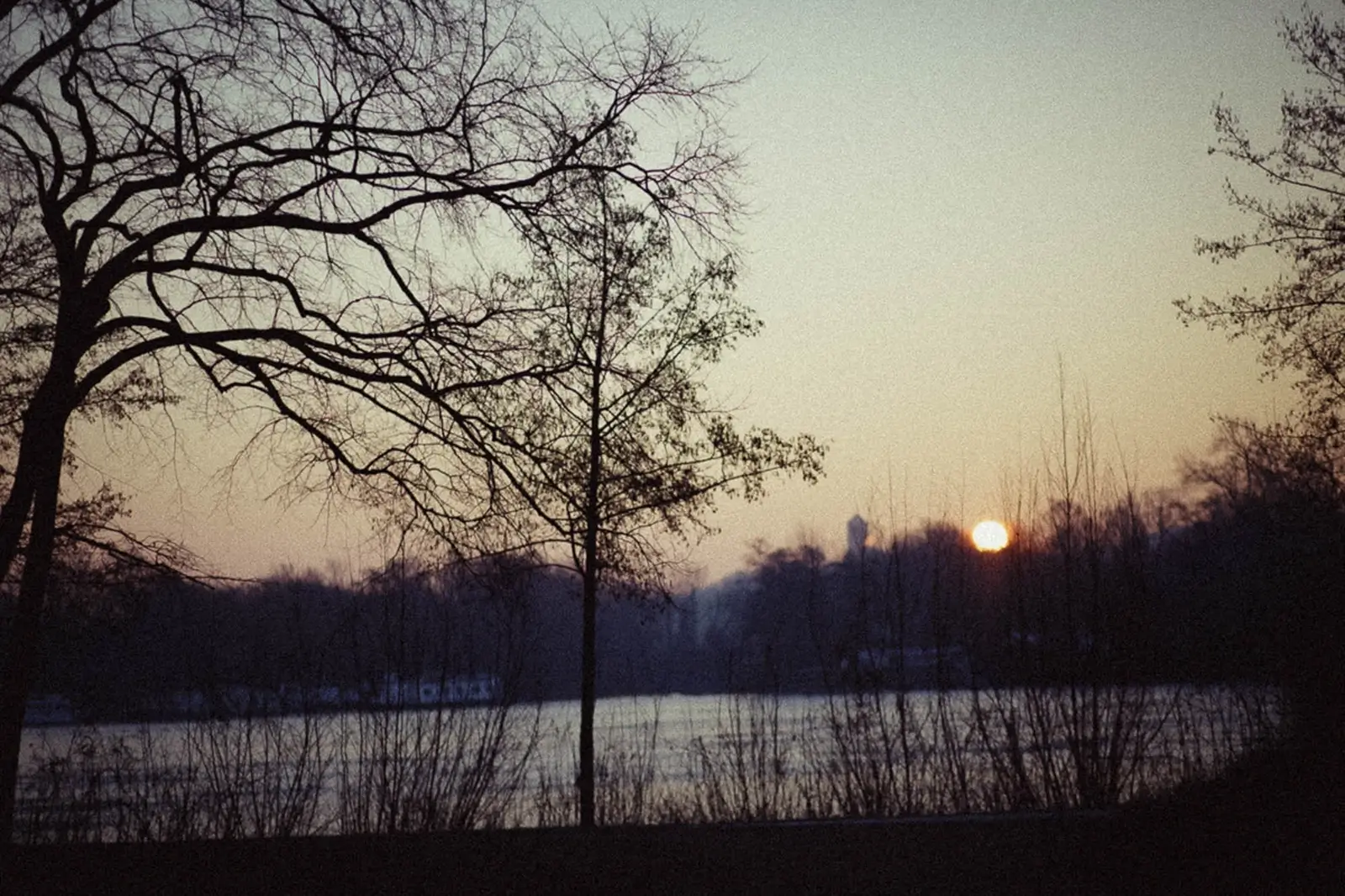 unbenannte-Fotosession-2580